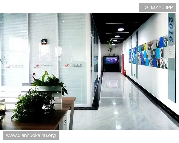 凯发旗舰厅全站登录稳定性提升，确保玩家在高峰时段也能顺畅体验游戏乐趣