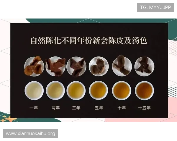 K8亚娱官网官方平台详细介绍，提供最新游戏资讯与优惠活动全方位指南